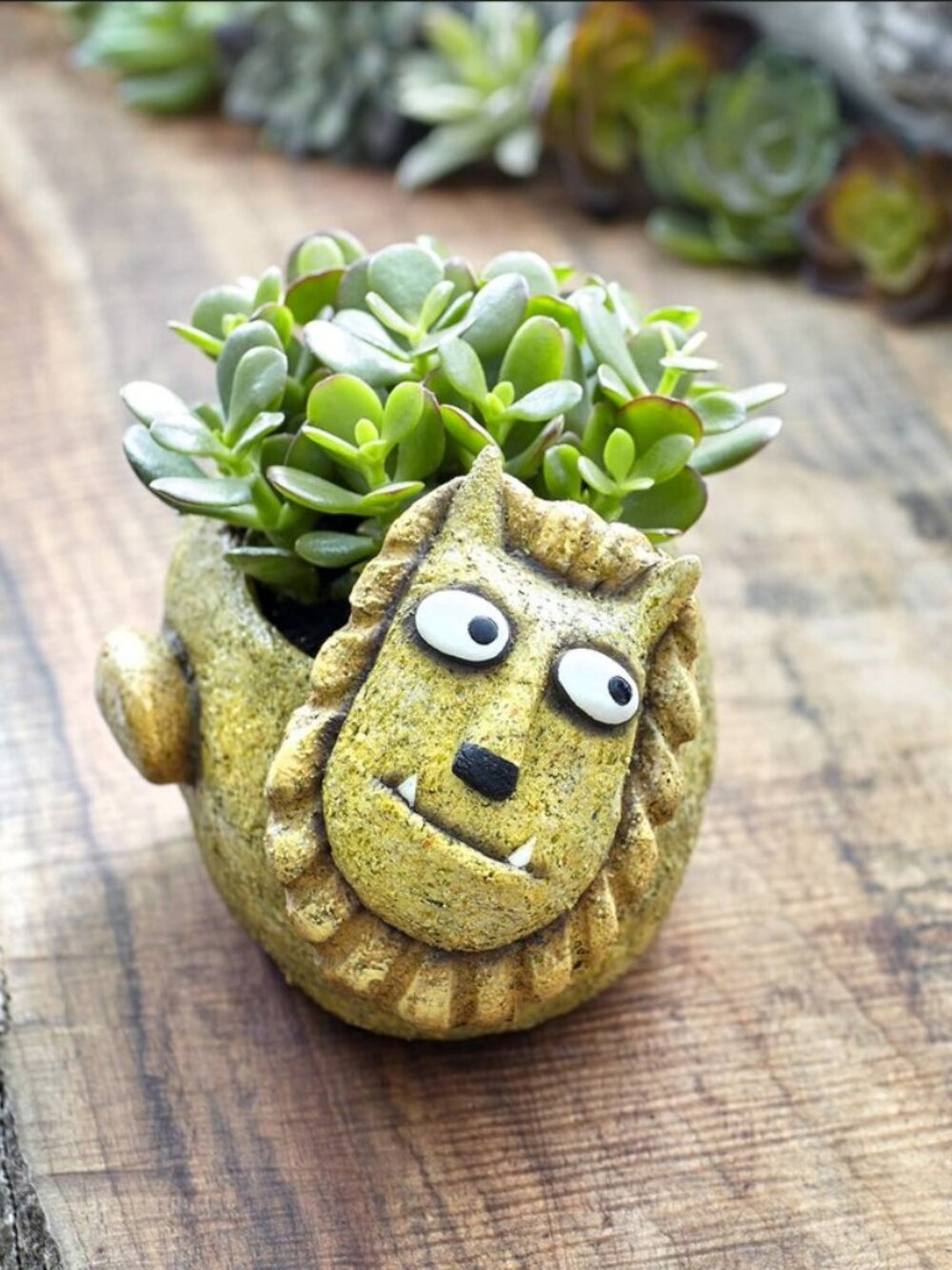 Simba the Lion Planter Pot - Picture 1 of 13